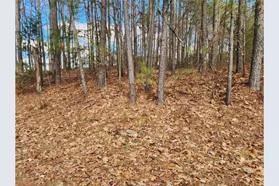 91 Cannon Ridge View, Dallas, GA 30132 - Photo 1