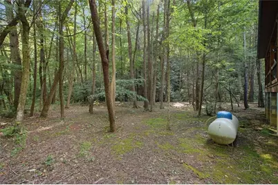 491 Old Parker Terrace, Ellijay, GA 30536 - Photo 38