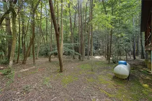 491 Old Parker Terrace, Ellijay, GA 30536 - Photo 38