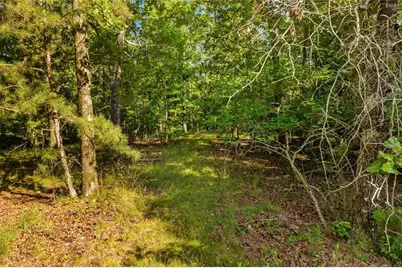 0 Blacks Bluff Rd SW, Cave Spring, GA 30124 - Photo 24