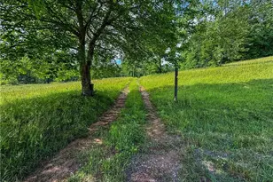 239 Glen Elliott Rd, Suches, GA 30572 - Photo 6