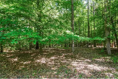 393 Fairplay Street, Rutledge, GA 30663 - Photo 48
