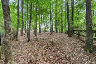 5250 Vinings Springs Ct SE, Mableton, GA 30126 - Photo 54