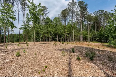 Lot 3 Pope Rd, Buchanan, GA 30113 - Photo 20