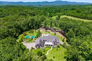 254 Nicholson Rd, Blue Ridge, GA 30513 - Photo 84