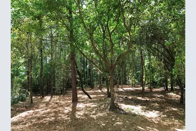 299 Plaza Drive, Monroe, GA 30655 - Photo 2
