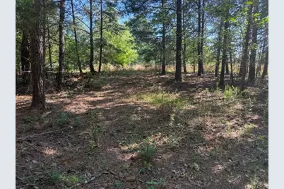 0 Pinetree Way, Dahlonega, GA 30533 - Photo 8