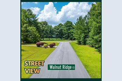 15 Walnut Ridge Court, Covington, GA 30014 - Photo 2