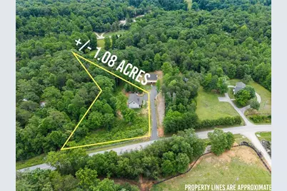 1320 Preacher Campbell Road, Clarkesville, GA 30523 - Photo 34