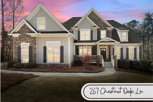 267 Chestnut Oak Ln, Dawsonville, GA 30534 - Photo 42