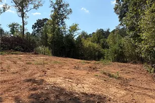 3 Blue Mountain Rd, Morganton, GA 30560 - Photo 12
