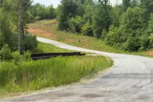 3 Blue Mountain Rd, Morganton, GA 30560 - Photo 14
