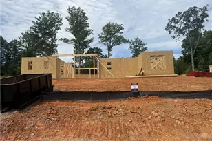 3 Blue Mountain Rd, Morganton, GA 30560 - Photo 2