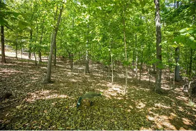 407 Ward Farm Drive, Powder Springs, GA 30127 - Photo 46