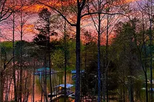 161 Winterhawk Cove, Dawsonville, GA 30534 - Photo 58