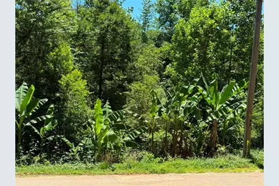 0 Lakeshore Road, Martin, GA 30557 - Photo 2
