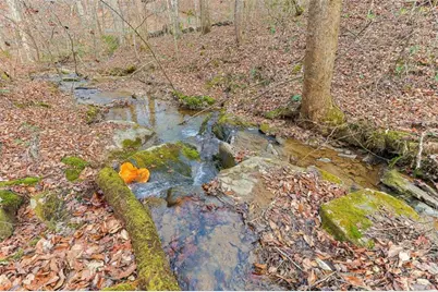 30 Chancel Circle, Ellijay, GA 30540 - Photo 32