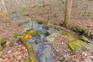 30 Chancel Cir, Ellijay, GA 30540 - Photo 32
