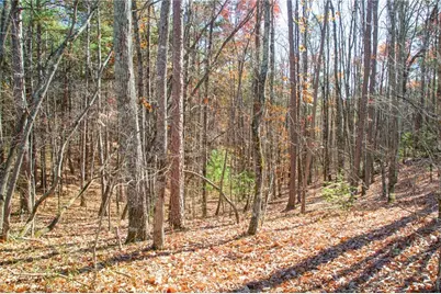 97 Waldrip Road, Dawsonville, GA 30534 - Photo 4