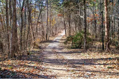 97 Waldrip Road, Dawsonville, GA 30534 - Photo 2