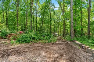 6265 Reives Rd, Cumming, GA 30041 - Photo 54