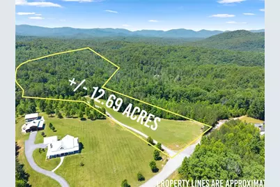 650 Old Steele Hollow, Dahlonega, GA 30533 - Photo 4