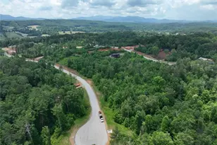 35 Blue Mountain Rd, Morganton, GA 30560 - Photo 34