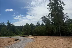 35 Blue Mountain Rd, Morganton, GA 30560 - Photo 4
