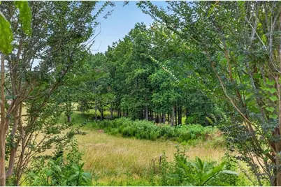 0 Conns Creek Road, Ball Ground, GA 30107 - Photo 36