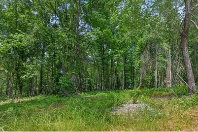 0 Conns Creek Road, Ball Ground, GA 30107 - Photo 24