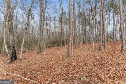 206 Shoals Way, Clarkesville, GA 30523 - Photo 40