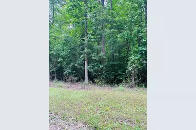 0 Pace Road, Chattahoochee Hills, GA 30213 - Photo 8