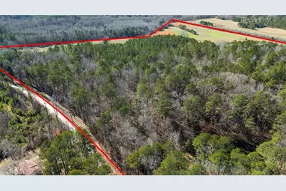 0 Pace Road, Chattahoochee Hills, GA 30213 - Photo 2