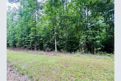 0 Pace Road, Chattahoochee Hills, GA 30213 - Photo 6
