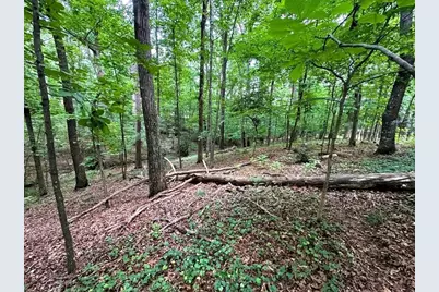00 Thornwood Drive, Calhoun, GA 30701 - Photo 4