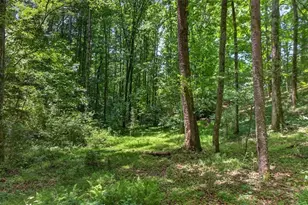1965 Hwy 52 E, Ellijay, GA 30536 - Photo 42