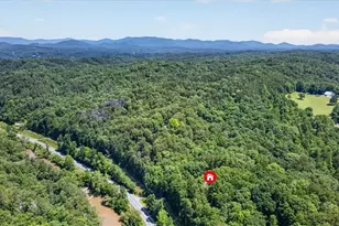 1965 Hwy 52 E, Ellijay, GA 30536 - Photo 54