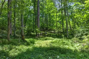 1965 Hwy 52 E, Ellijay, GA 30536 - Photo 44