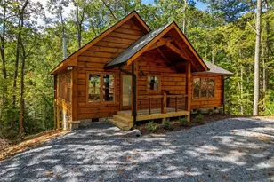 100 Crystal Oliver Ln, Blue Ridge, GA 30513 - Photo 1