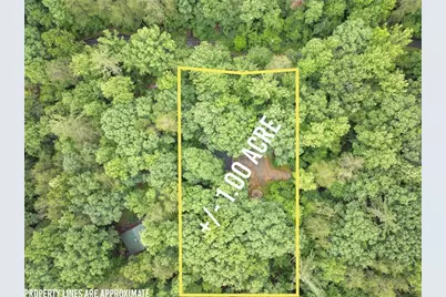 1130 Alpine Drive, Sautee Nacoochee, GA 30571 - Photo 42
