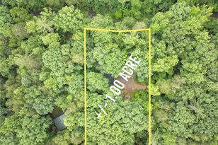 1130 Alpine Dr, Sautee Nacoochee, GA 30571 - Photo 42