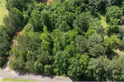 0 Ono Road, Palmetto, GA 30268 - Photo 10