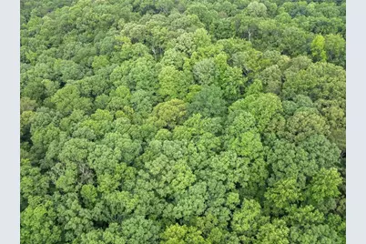 0 Long Branch Road, Dahlonega, GA 30533 - Photo 26