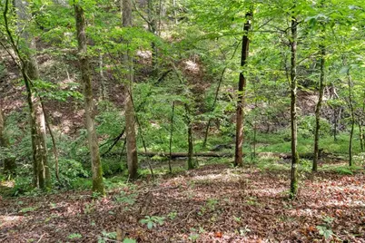 0 Long Branch Road, Dahlonega, GA 30533 - Photo 8