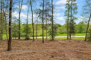 101 Broad River Rd, Eastanollee, GA 30538 - Photo 1