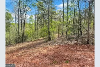 101 Broad River Road, Eastanollee, GA 30538 - Photo 8