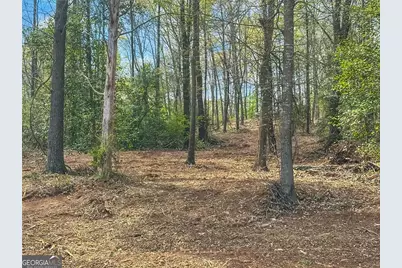 101 Broad River Road, Eastanollee, GA 30538 - Photo 10