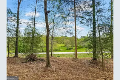 101 Broad River Road, Eastanollee, GA 30538 - Photo 4