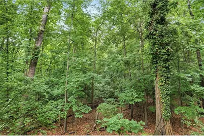 1201 Vicksburg Place, Atlanta, GA 30350 - Photo 32