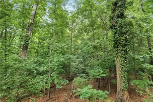 1201 Vicksburg Pl, Atlanta, GA 30350 - Photo 32